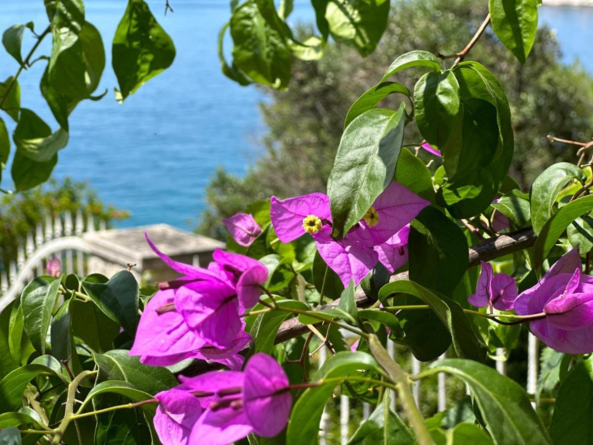 Luxury Seaside Villa With A Classic Mediterranean Olive Garden, A Fully Equipped Professional Kitchen, Pool, Sauna, Padle Boards And Canoe - Miolin Beach House Trogir Dış mekan fotoğraf