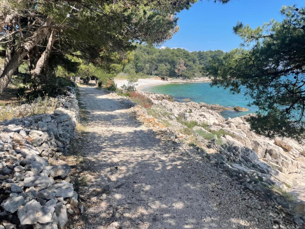 Luxury Seaside Villa With A Classic Mediterranean Olive Garden, A Fully Equipped Professional Kitchen, Pool, Sauna, Padle Boards And Canoe - Miolin Beach House Trogir Dış mekan fotoğraf