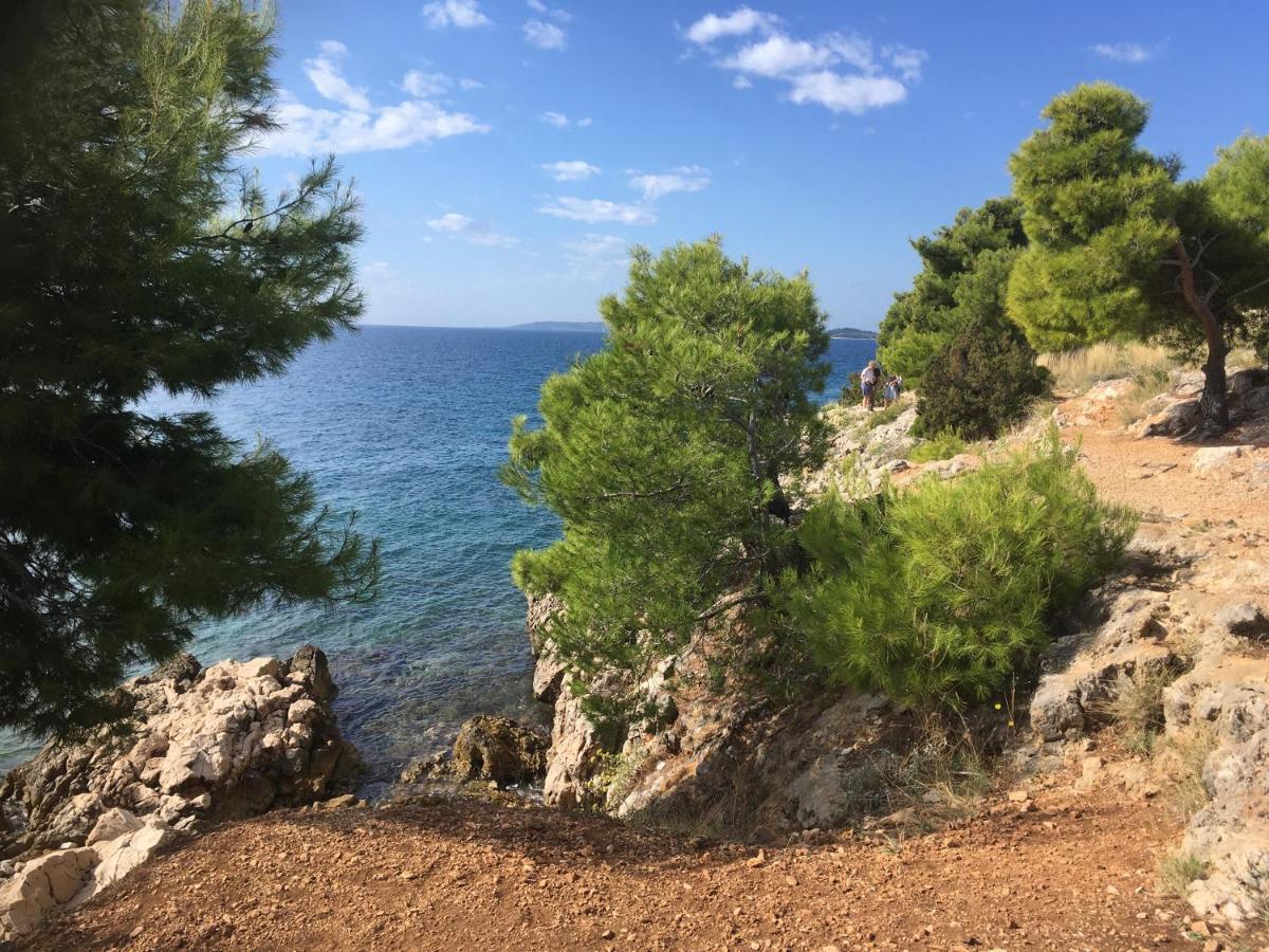 Luxury Seaside Villa With A Classic Mediterranean Olive Garden, A Fully Equipped Professional Kitchen, Pool, Sauna, Padle Boards And Canoe - Miolin Beach House Trogir Dış mekan fotoğraf